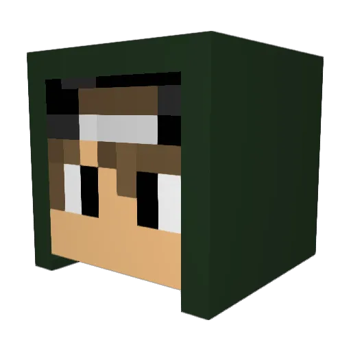 Roodje321 Minecraft avatar head, 3D render