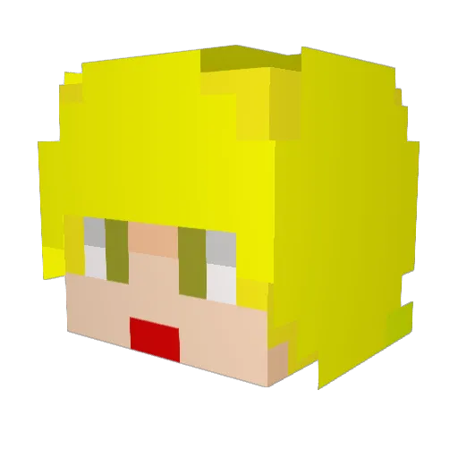 Rooe_ Minecraft avatar head, 3D render