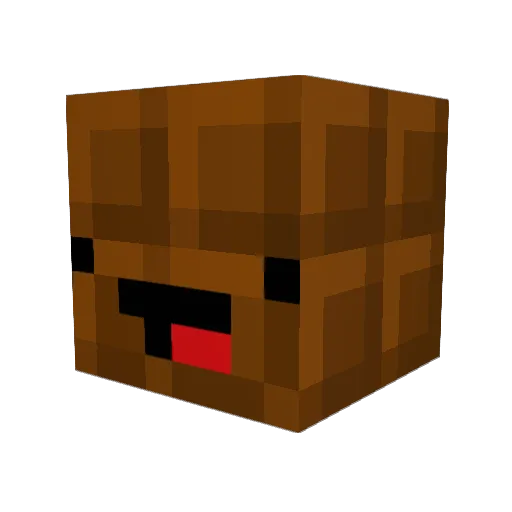 Roogaroo13 Minecraft avatar head, 3D render