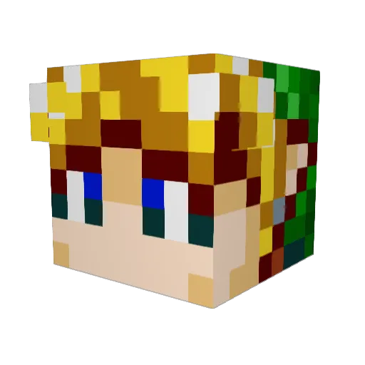 Rooibek Minecraft avatar head, 3D render