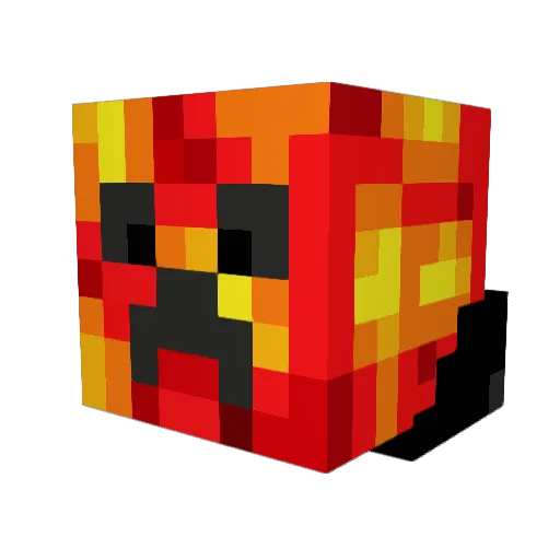 Rooibok Minecraft avatar head, 3D render