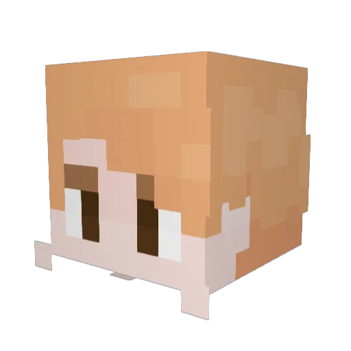 Rooie69 Minecraft avatar head, 3D render