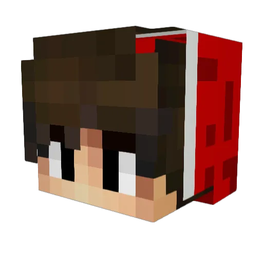 RookE45 Minecraft avatar head, 3D render