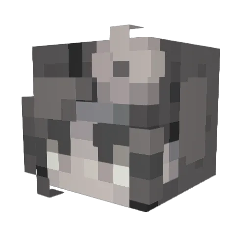 RookRobertson Minecraft avatar head, 3D render