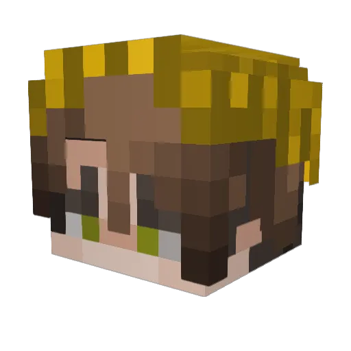 RookWild Minecraft avatar head, 3D render