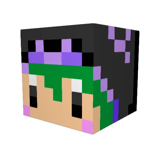 Rook_1925 Minecraft avatar head, 3D render