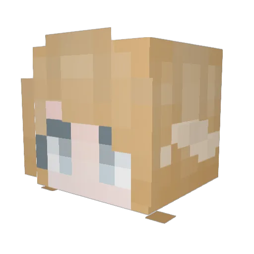 Rooka_6 Minecraft avatar head, 3D render