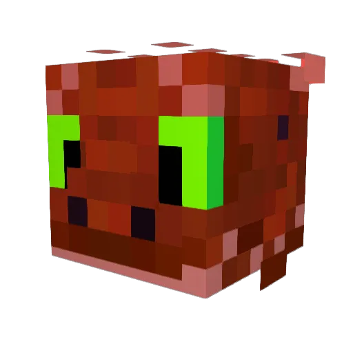 Rookandsuch Minecraft avatar head, 3D render