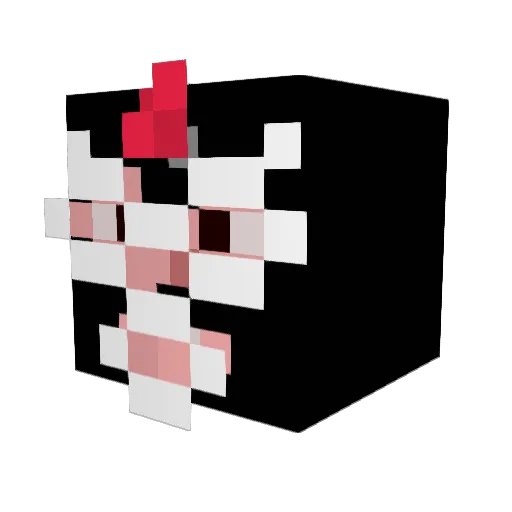 RookiEnO1 Minecraft avatar head, 3D render