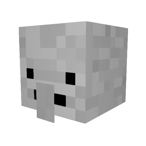 Rookie5092 Minecraft avatar head, 3D render
