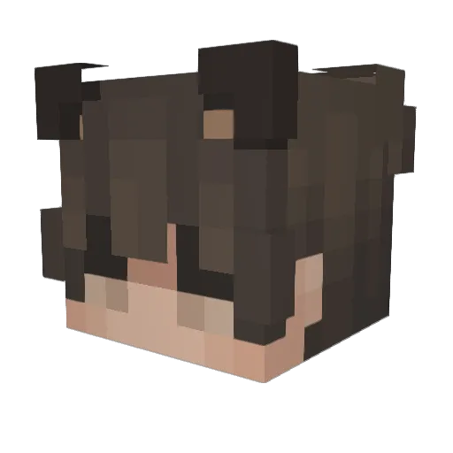 Rookie808 Minecraft avatar head, 3D render