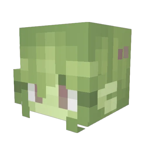 RookieMelody Minecraft avatar head, 3D render