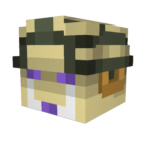 RookiePufferfish Minecraft avatar head, 3D render