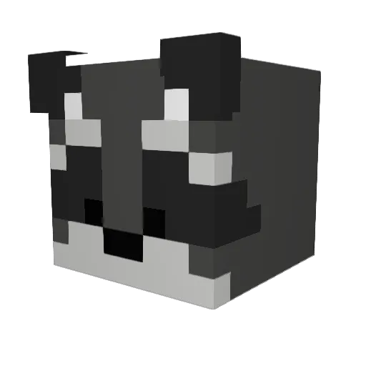 RookieRacconYT Minecraft avatar head, 3D render