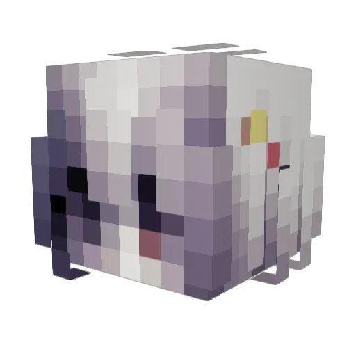 Rookie_12791 Minecraft avatar head, 3D render