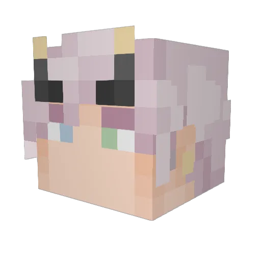 Rookk762 Minecraft avatar head, 3D render