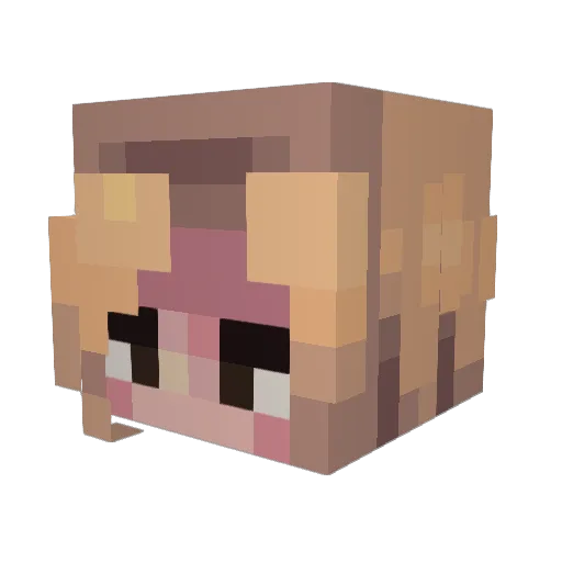 Rooks_Fables Minecraft avatar head, 3D render