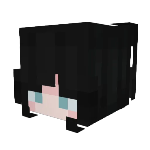Rooky12 Minecraft avatar head, 3D render