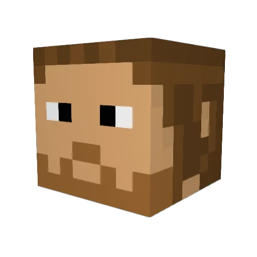 Rooky91 Minecraft avatar head, 3D render