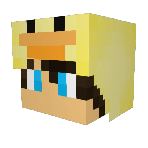 Rooler222 Minecraft avatar head, 3D render