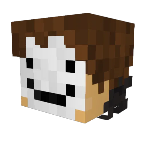 Room13gms Minecraft avatar head, 3D render
