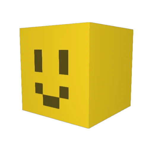 RoomTemp14 Minecraft avatar head, 3D render