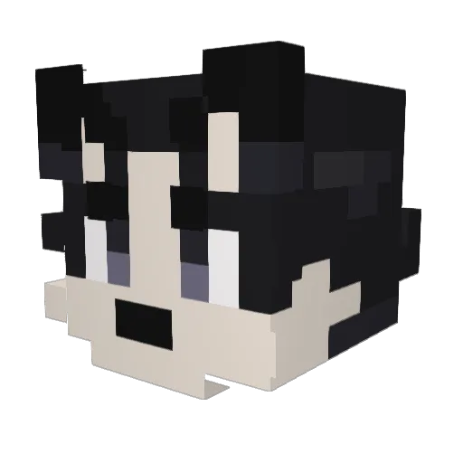 RoombaOwO Minecraft avatar head, 3D render