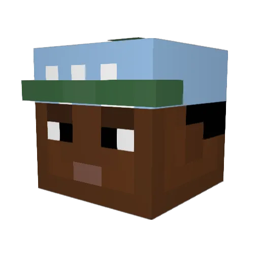 Roomie2329 Minecraft avatar head, 3D render