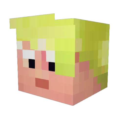 RoomiestEel Minecraft avatar head, 3D render