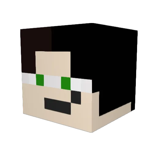 Roomis Minecraft avatar head, 3D render