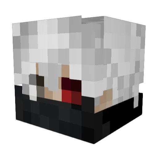 RoomyLoomy Minecraft avatar head, 3D render