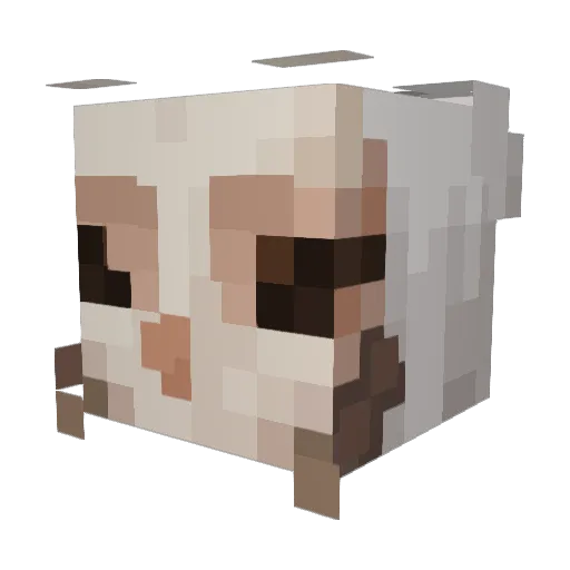 Rooney08 Minecraft avatar head, 3D render