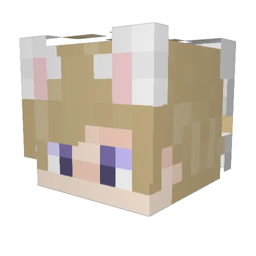 Roonieboi Minecraft avatar head, 3D render