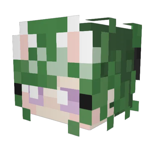 RoootyTooty Minecraft avatar head, 3D render