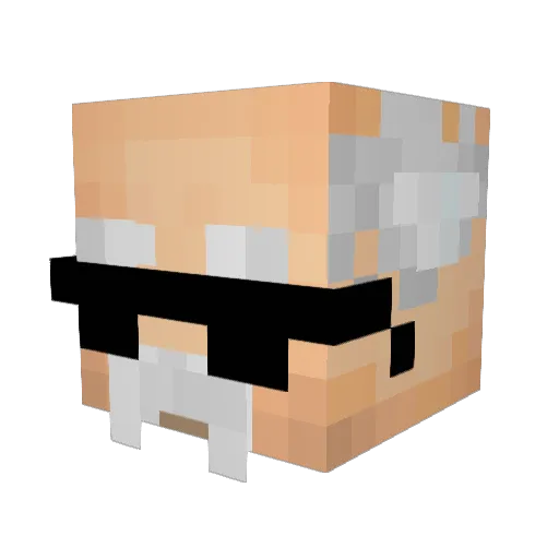 Roopix Minecraft avatar head, 3D render