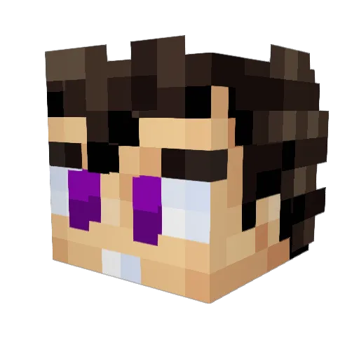 Roorro Minecraft avatar head, 3D render