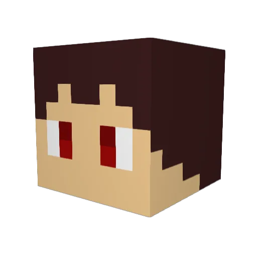 RoosNL2005 Minecraft avatar head, 3D render