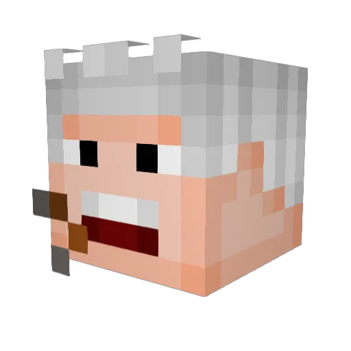 RoosTeR3 Minecraft avatar head, 3D render