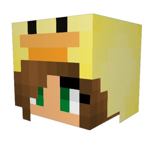 RoosXD Minecraft avatar head, 3D render