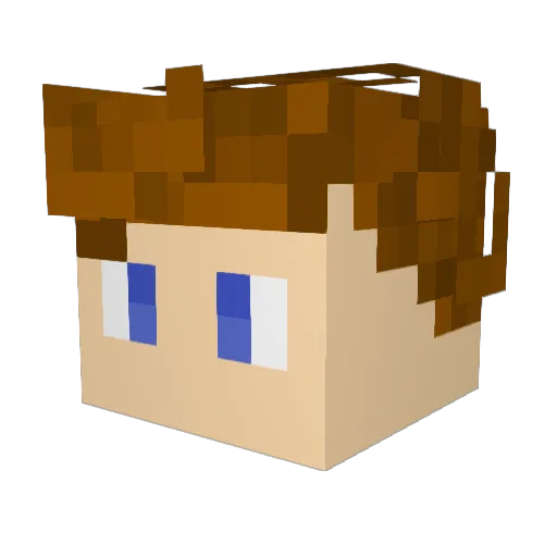 Roosters_17 Minecraft avatar head, 3D render
