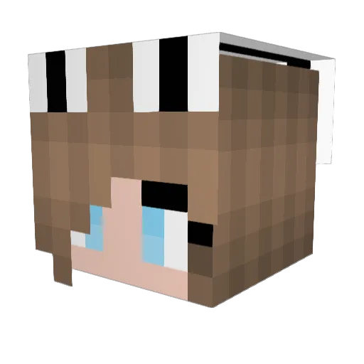 RoostyRoo2 Minecraft avatar head, 3D render