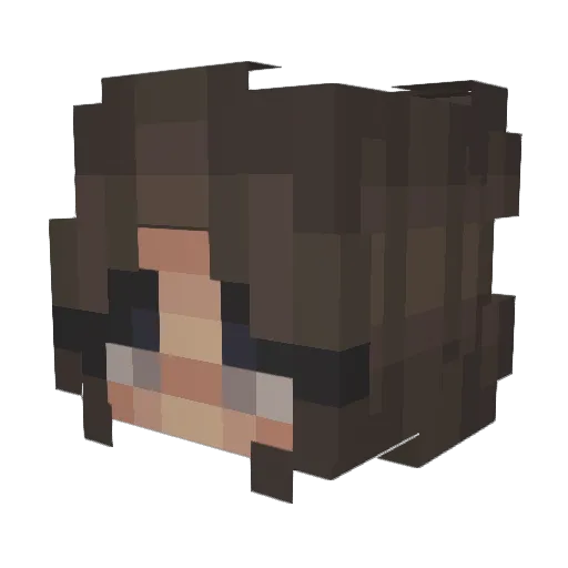 Roosvd_ Minecraft avatar head, 3D render