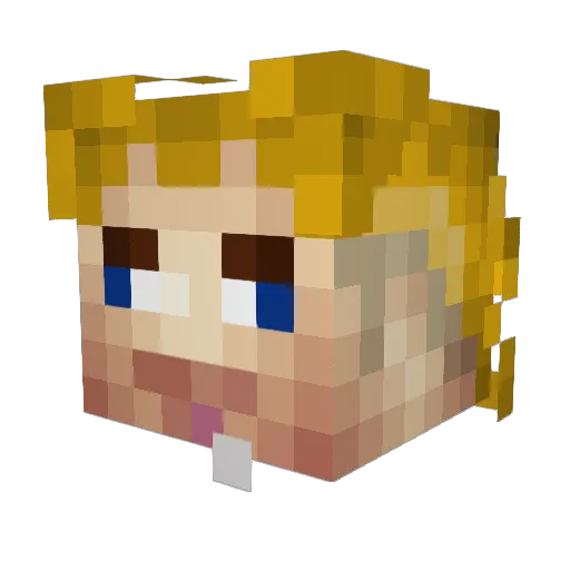 RootaToota Minecraft avatar head, 3D render