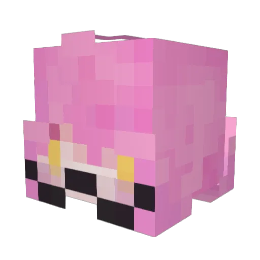 Roowii Minecraft avatar head, 3D render