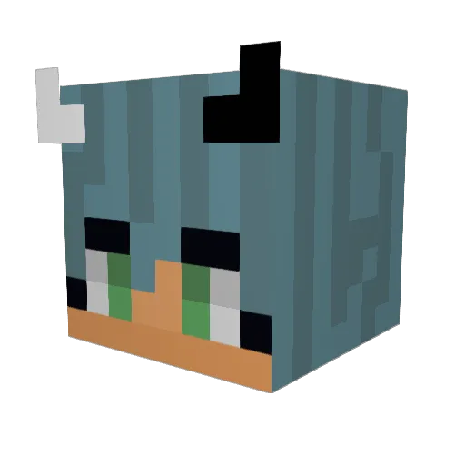Roowolf17 Minecraft avatar head, 3D render
