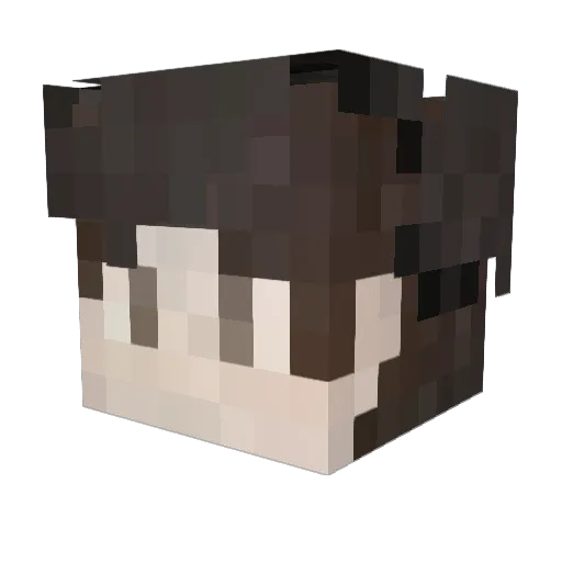 RoowyLeg Minecraft avatar head, 3D render