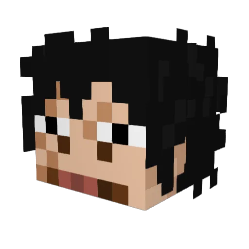 Rooz25 Minecraft avatar head, 3D render