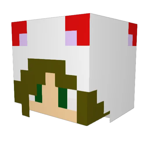Rooz97 Minecraft avatar head, 3D render