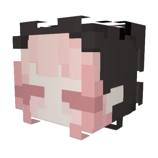 Ropupela Minecraft avatar head, 3D render