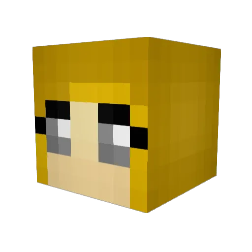 RoraBee Minecraft avatar head, 3D render